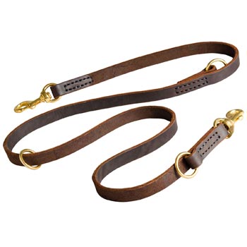 Leather Leash for Dog Everyday Walking