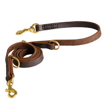 Strong Leather Leash for Dog Successful Training